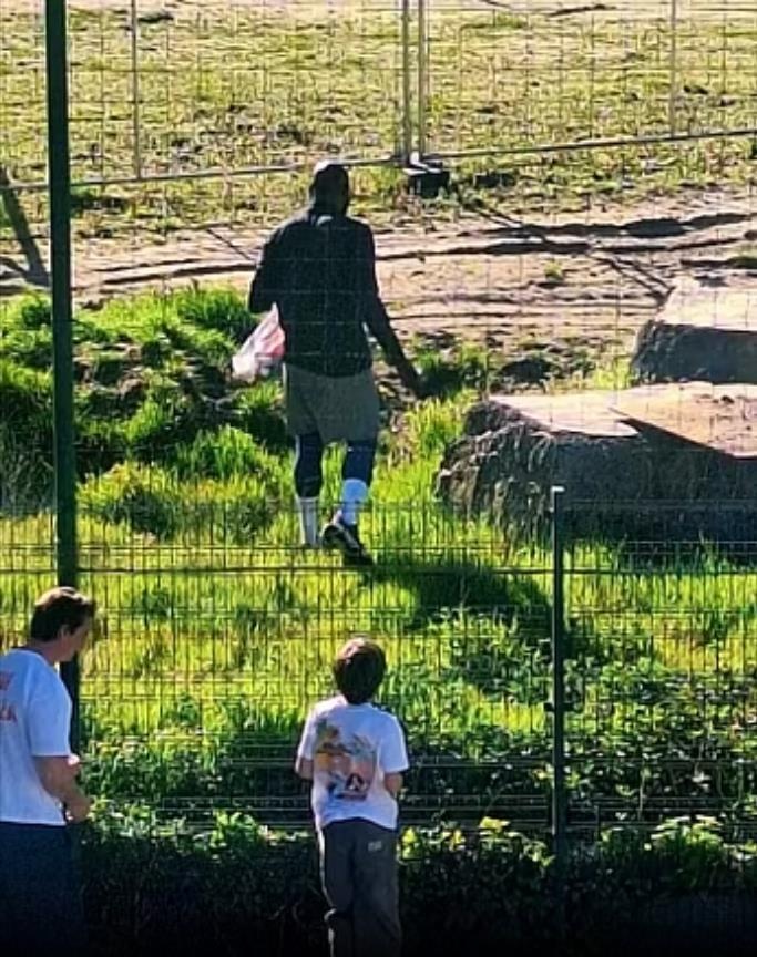 【体育简讯】还不归队！意媒：卢卡库在安特卫普训练，预计归期不