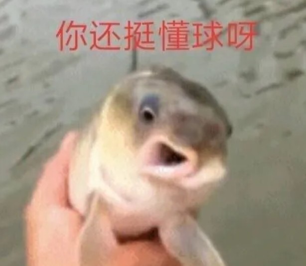 [体坛快讯]该退休了？帕金斯：莱利每年休赛期都想钓鲸鱼⬆️ 