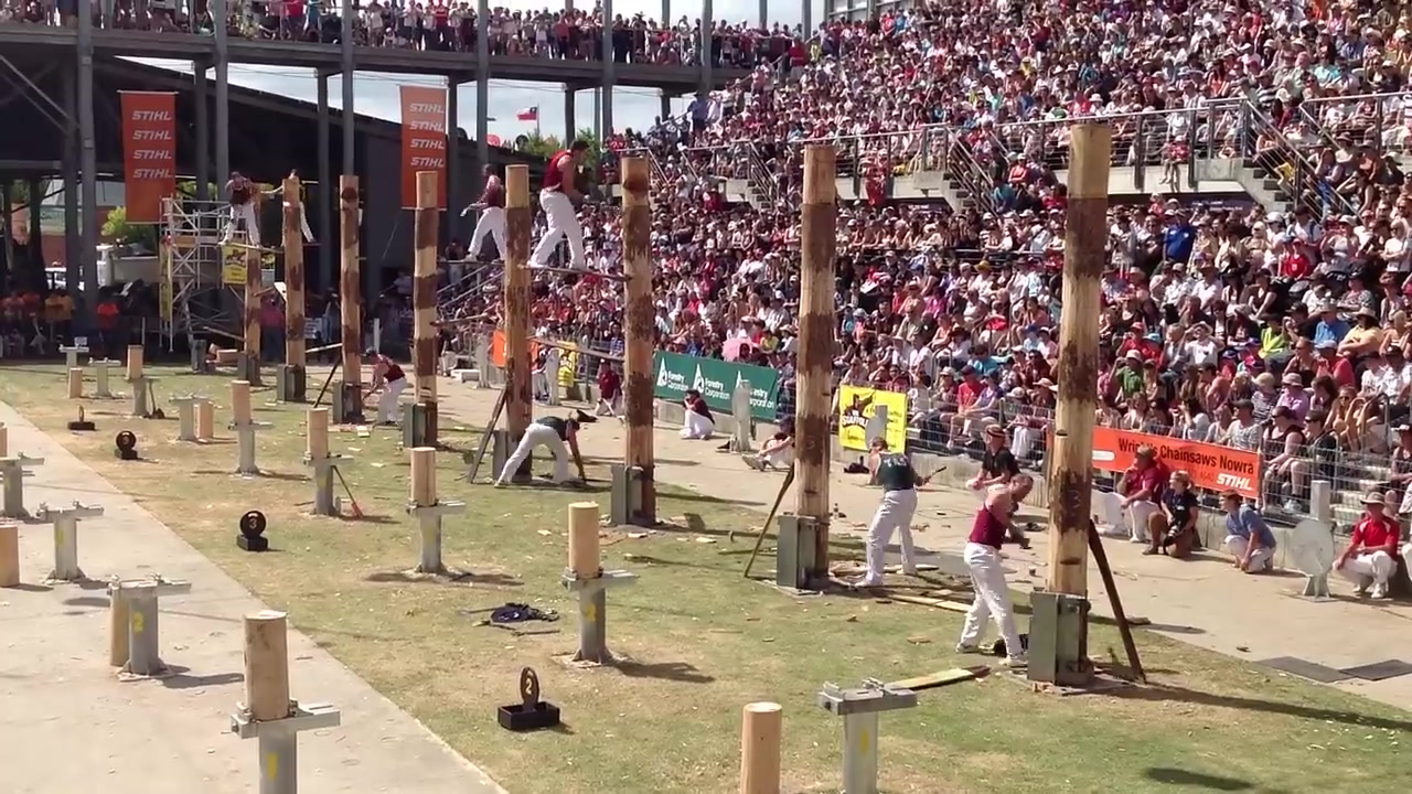 难得一见！砍树比赛了解一下-直播吧zhibo8.cc