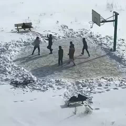 在雪地上打球是一种怎样的体验？