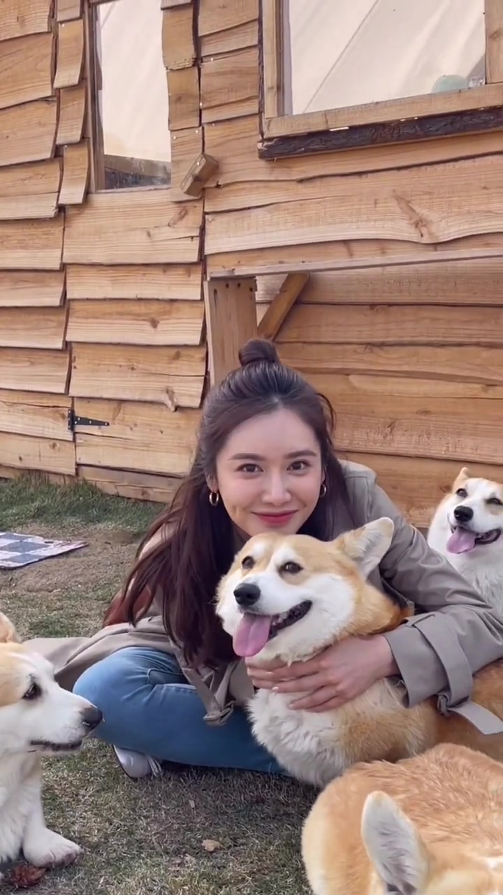 可爱吗？美娜跟一群狗相处