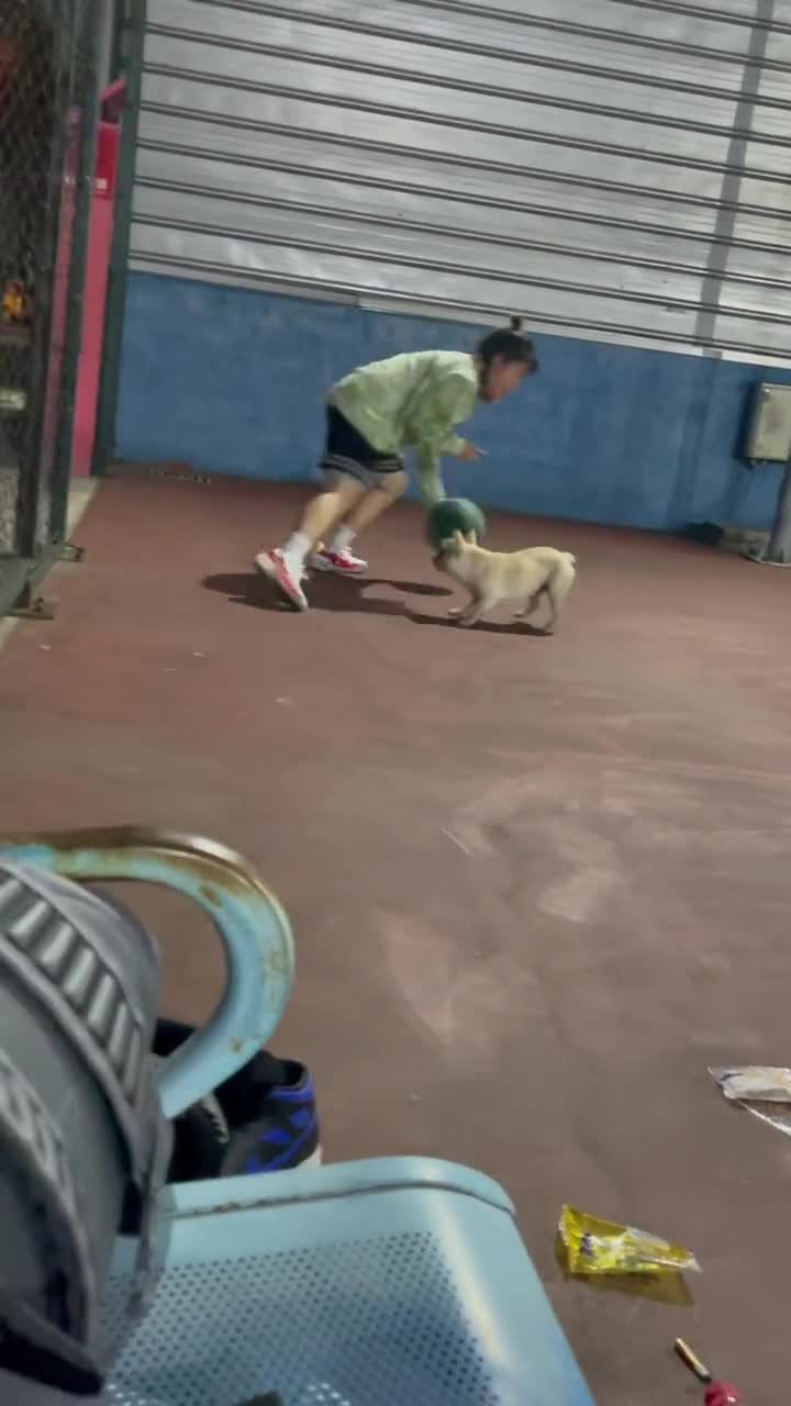 小姐姐：我把对方虐成了狗