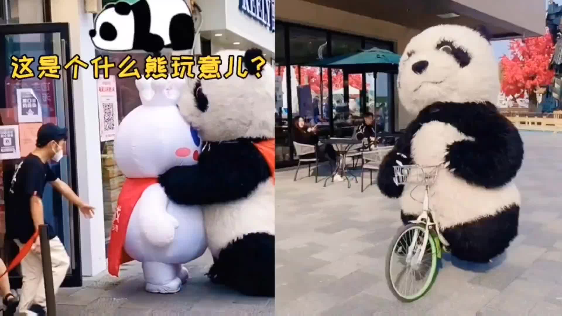 突然破产，王思聪的熊猫直播怎么黄了？_媒体