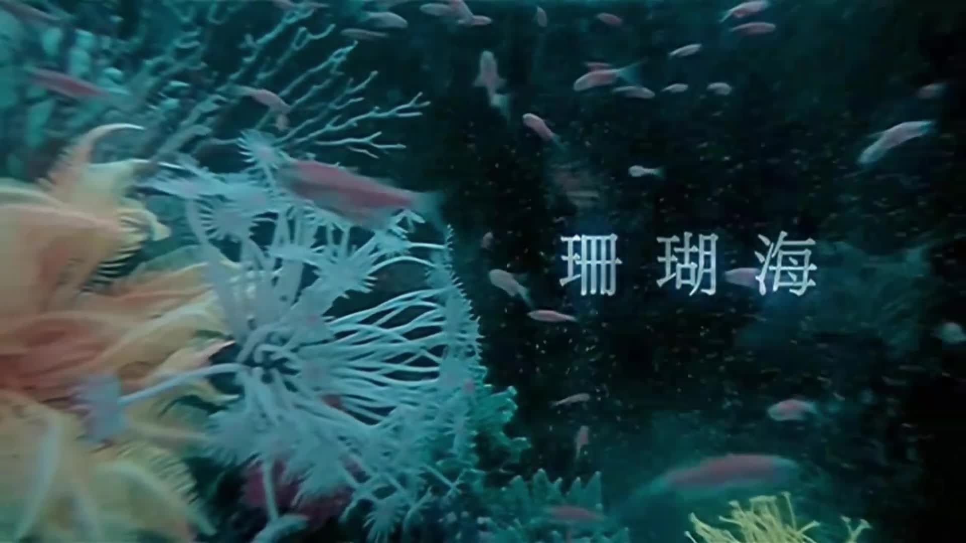【4K修复】周杰伦 梁心颐 - 珊瑚海 MV 2160P修复版 - 哔哩哔哩