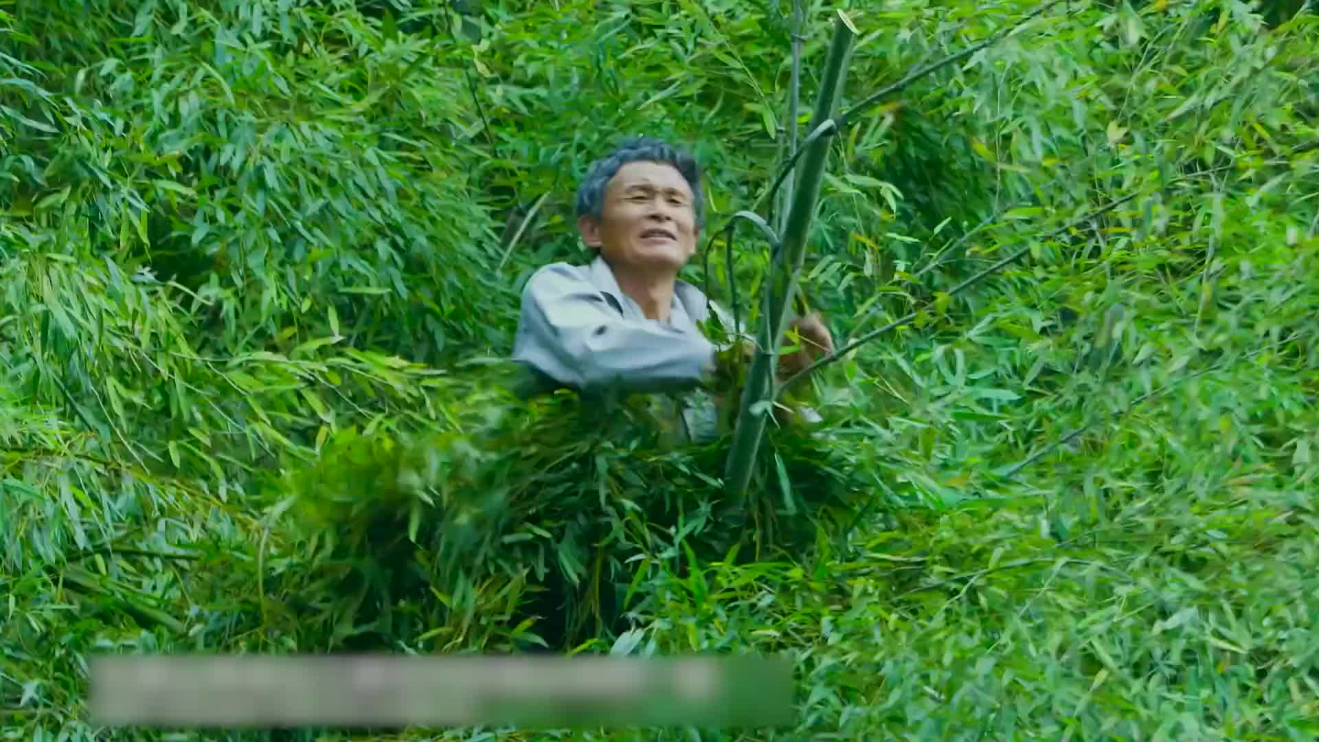 竹林轻功是真的!七旬老人不用任何工具,能在竹林飞越穿梭!-直播吧