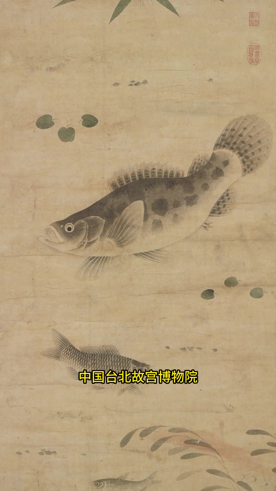 元朝时期的一幅古画,一条鳜鱼,价值和齐白石的虾媲美-直播吧