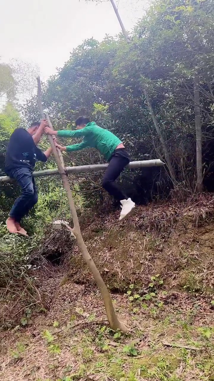 很想知道他们是怎样坐上去的-直播吧