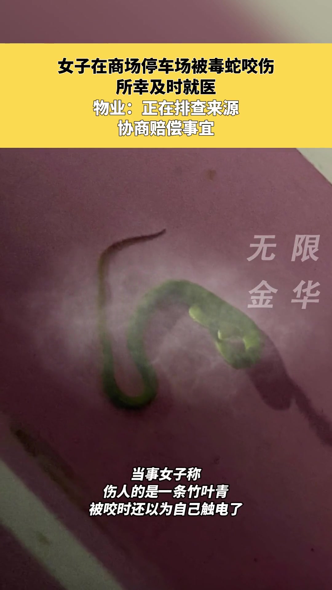 太背了吧!女子在商场地下车库,被毒蛇咬伤😱-直播吧