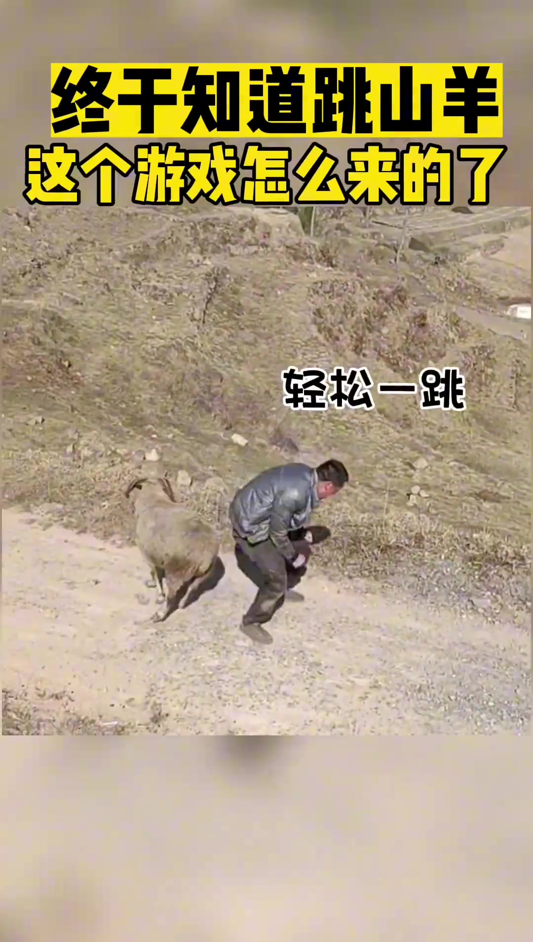 这才是真正的跳山羊-动物视频-搜狐视频