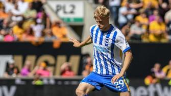 英超-维尔贝克破门 布莱顿客场2-0胜狼队