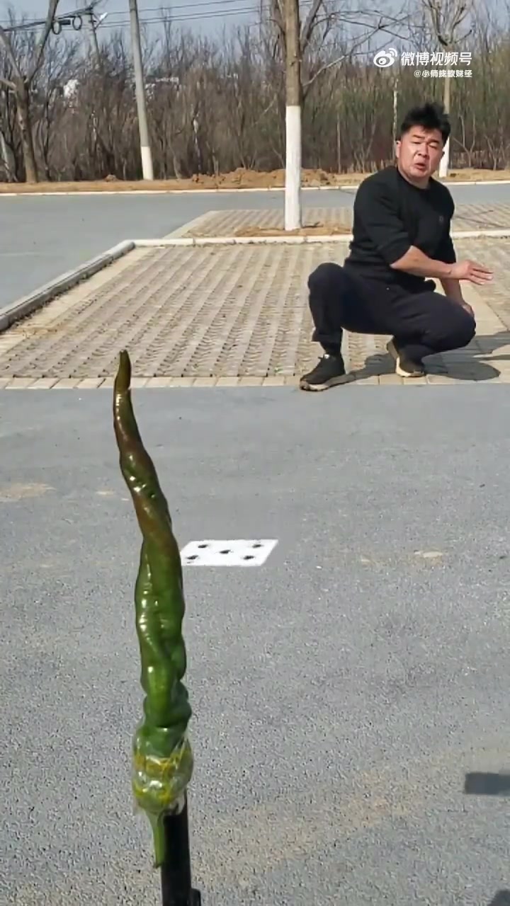 不可思议的飞牌绝技