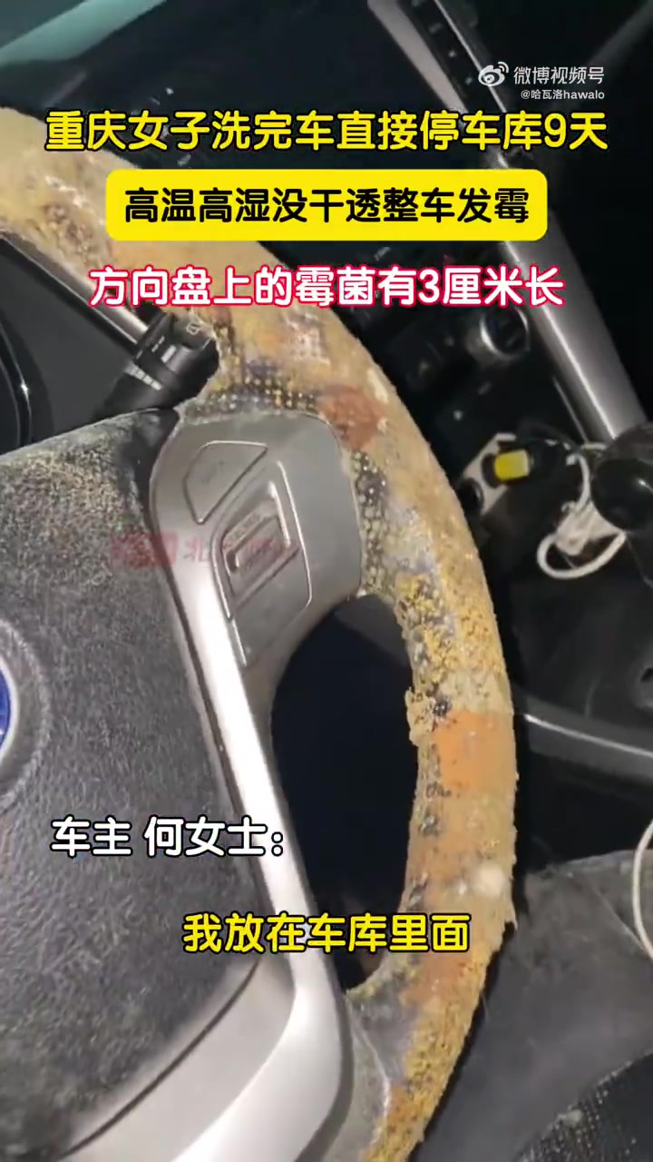 重庆车主车停车库9天！全车发霉不能要