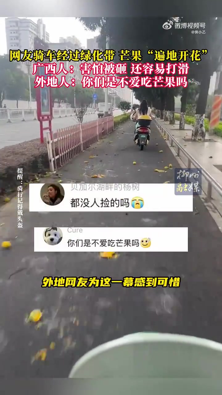 网友骑车经过绿化带，芒果“遍地开花”
