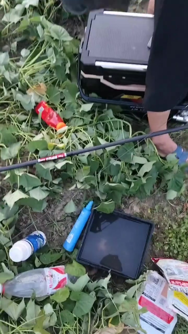 钓鱼佬就是这样，除了鱼啥都能钓上来