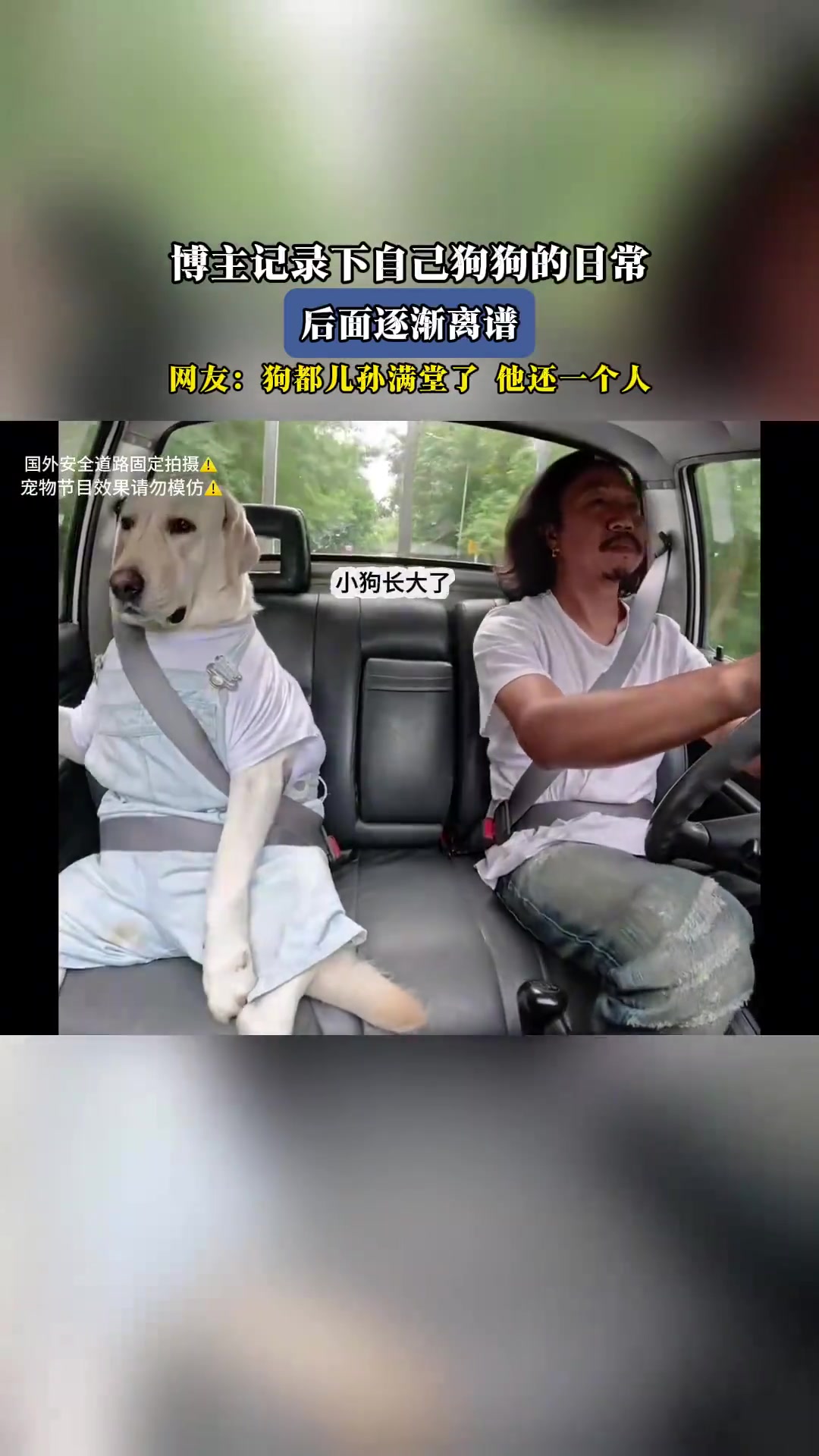 博主记录狗狗日常！后面逐渐离谱