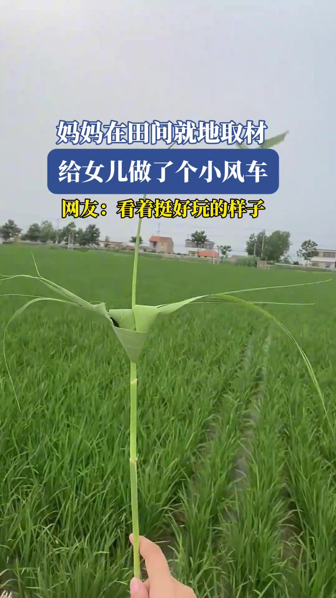 妈妈在田间就地取材，给女儿做了个小风车