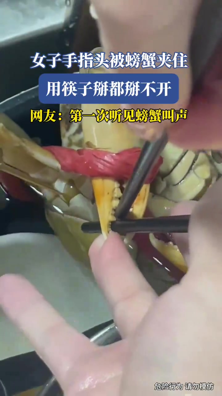 女子手指头被螃蟹夹住，用筷子掰都掰不开