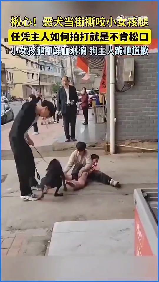 遇到恶狗咬人不松口，比特犬等可勒脖裸绞快速解决