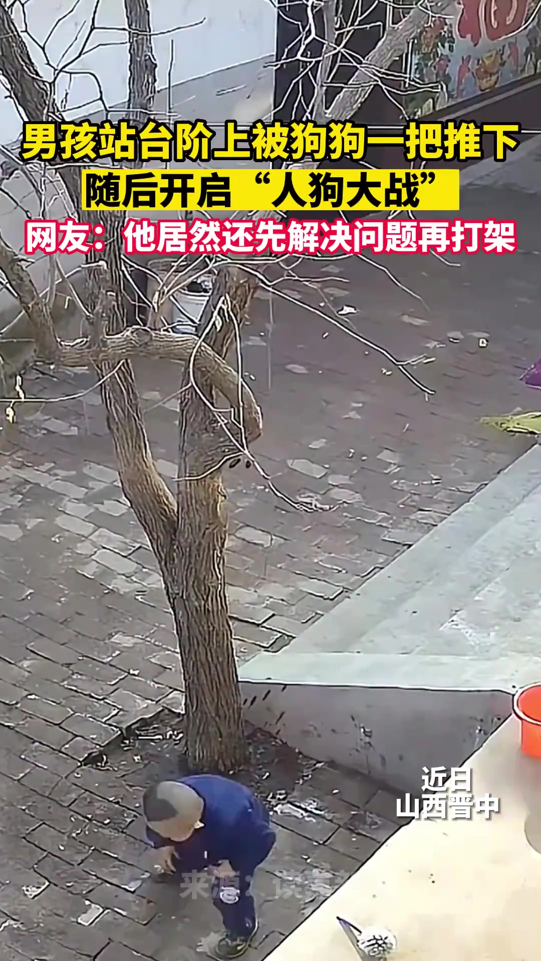 男孩站在台阶上，被狗狗一把推下，随后开启人狗大战