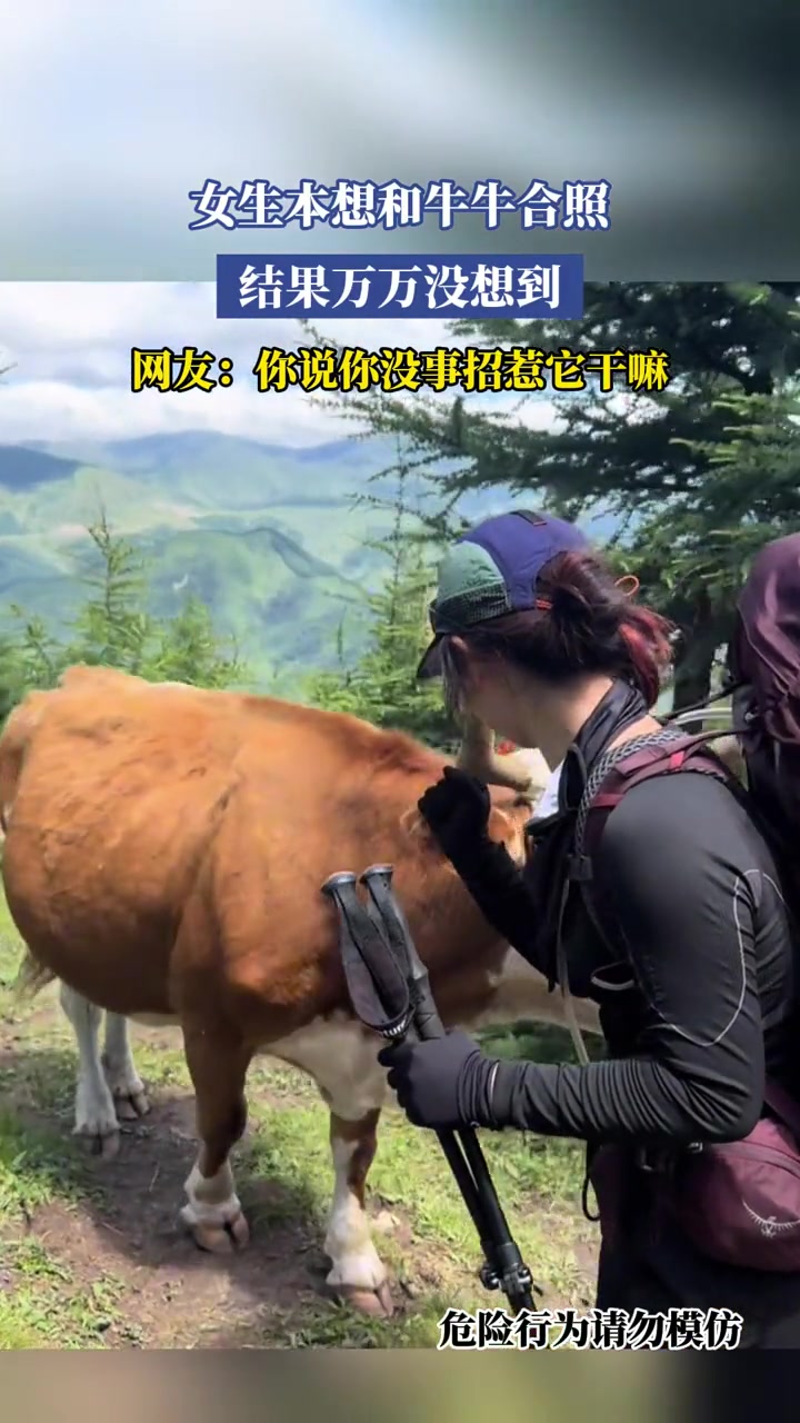 女生本想和牛牛合照,结果万万没想到