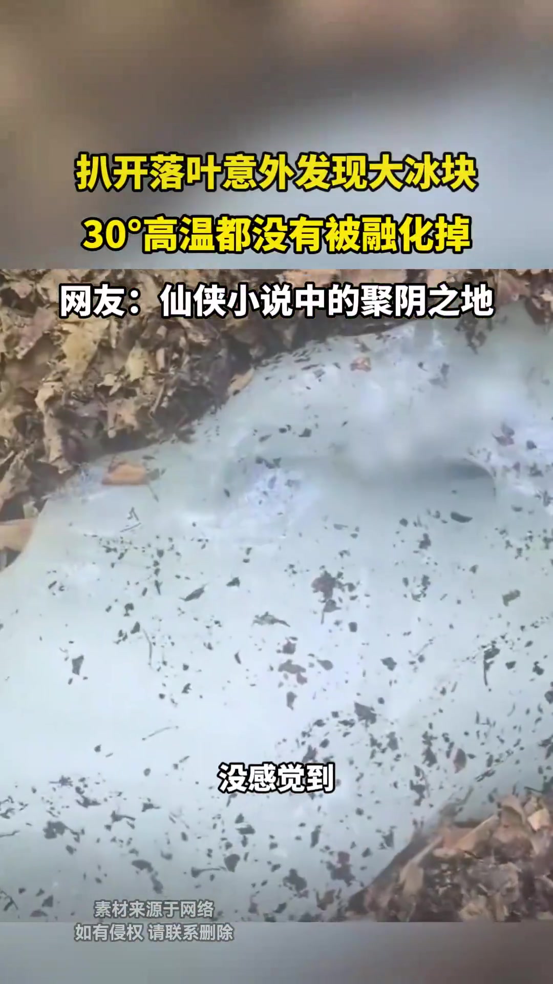 扒开落叶意外发现大冰块，30高温都没有被融化掉