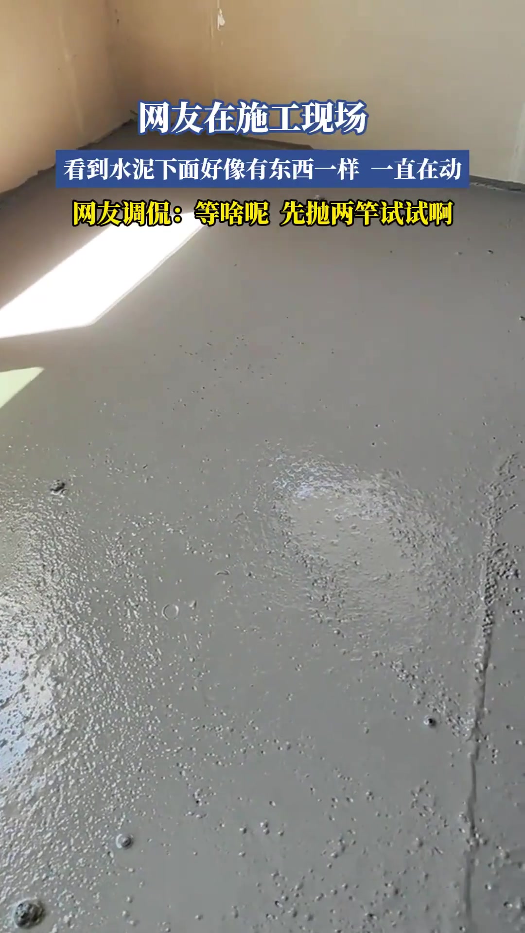 网友在施工现场，看到水泥下面好像有东西一样，一直在动！