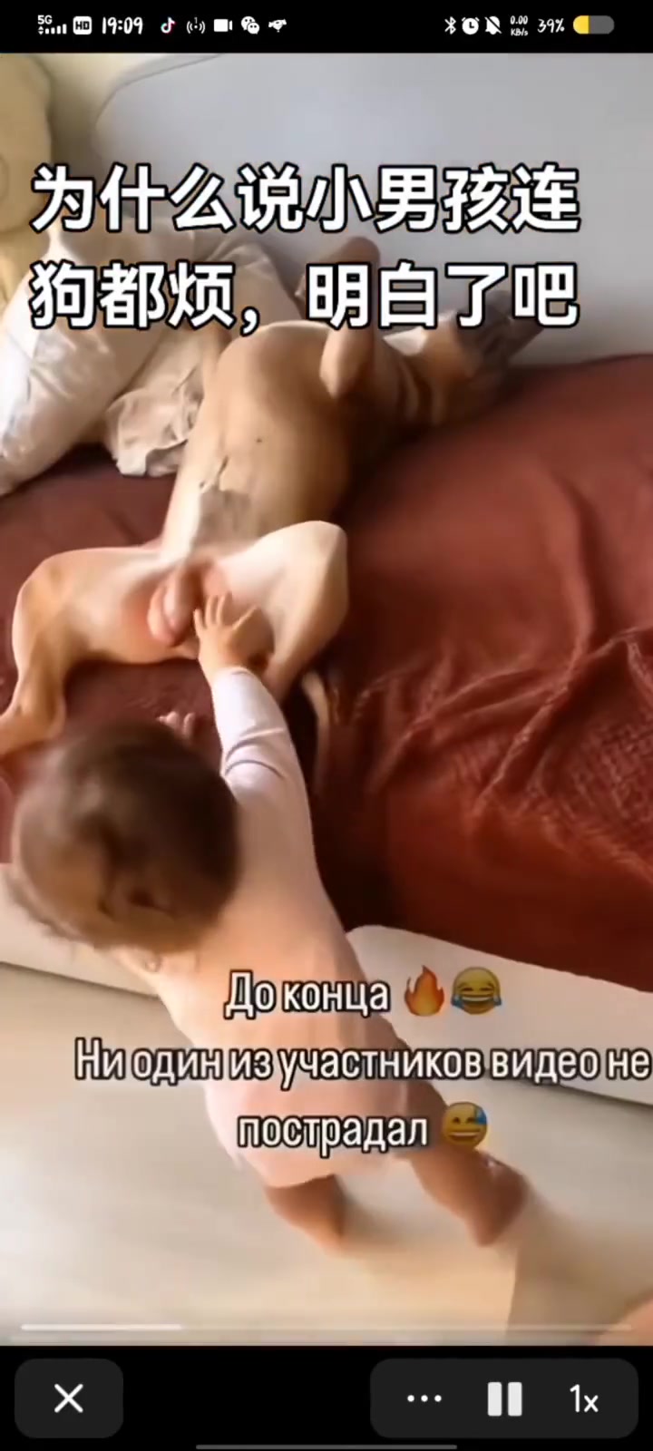 这个年纪，是真的狗都烦