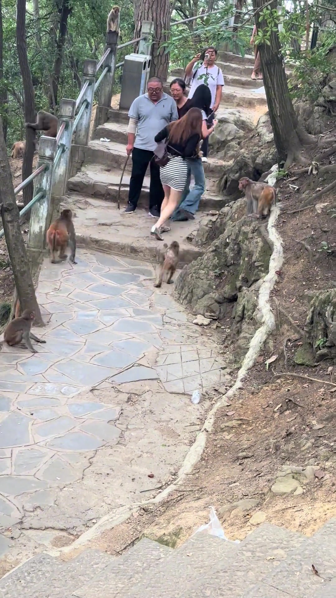 它们是只找露腿的女生吗女生被吓得一直尖叫