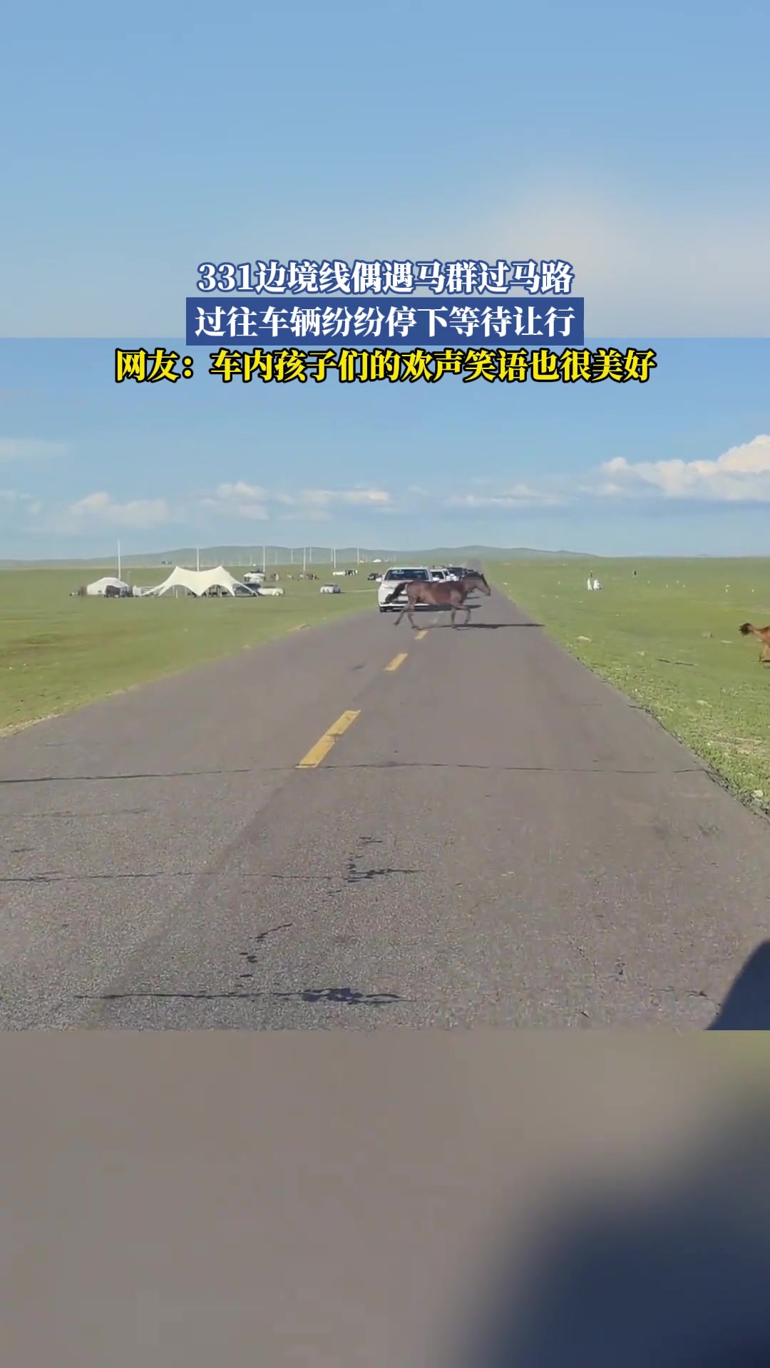 331边境线偶遇马群过马路，过往车辆纷纷停下等待让行