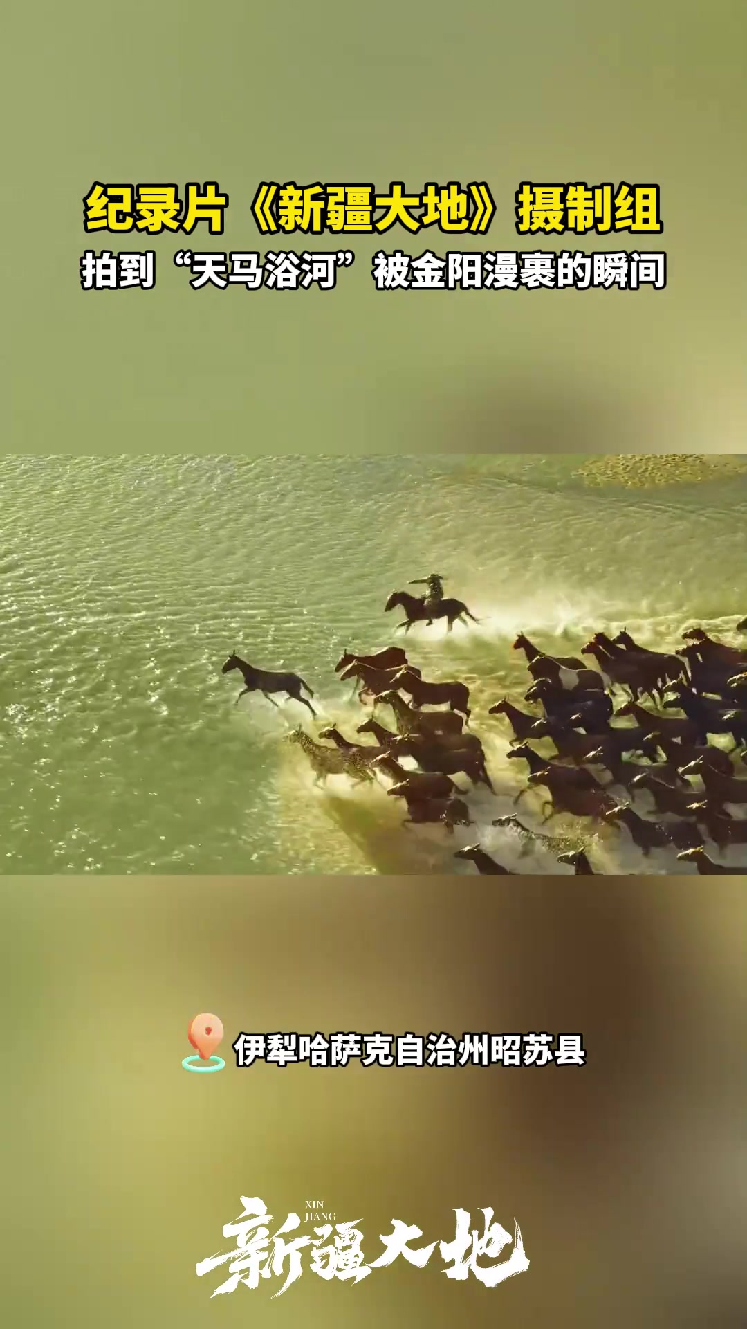 摄制组拍到“天马浴河”被金阳漫裹的瞬间