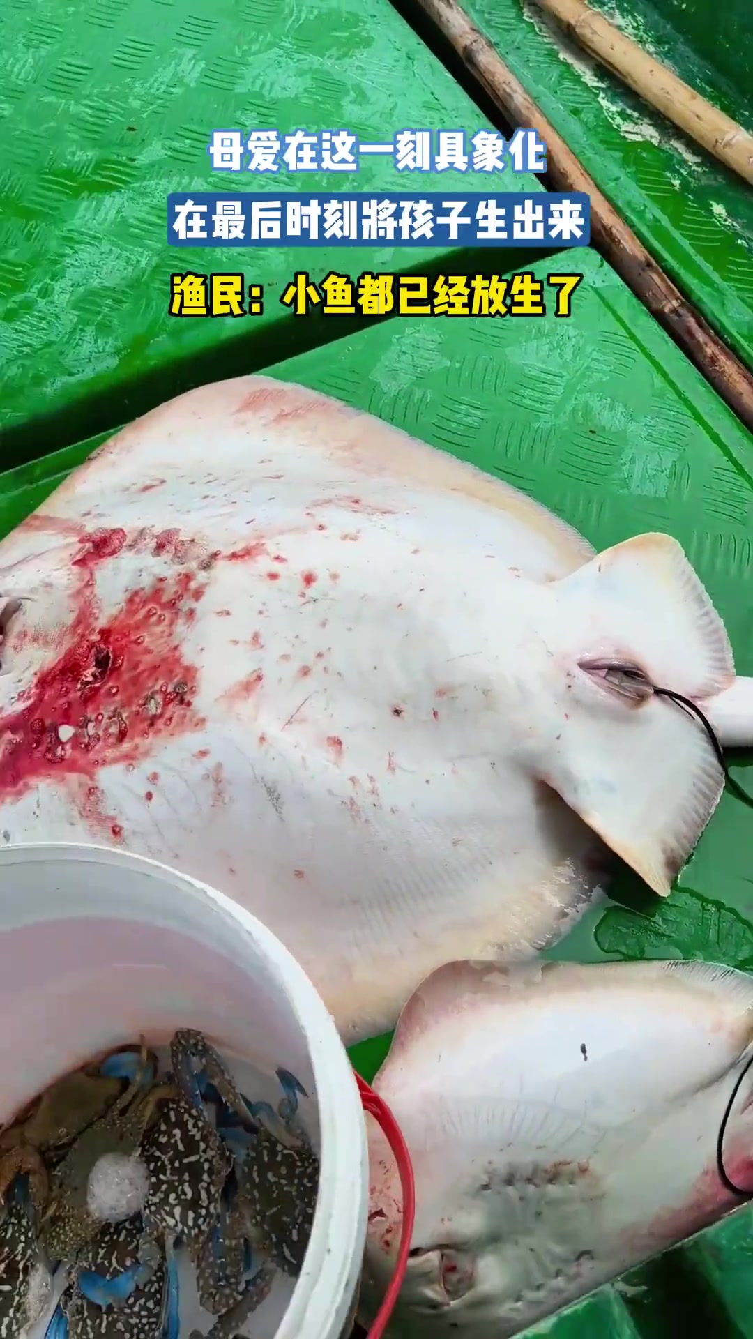 母爱具象化！最后时刻生下孩子
