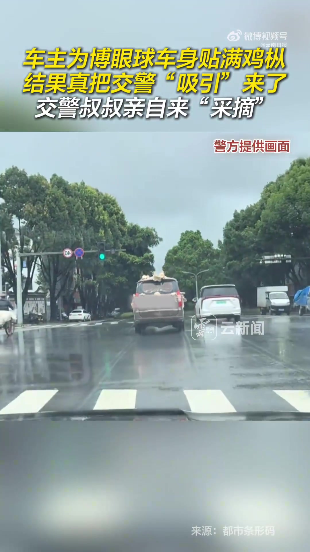 车主为博眼球车身贴满鸡枞