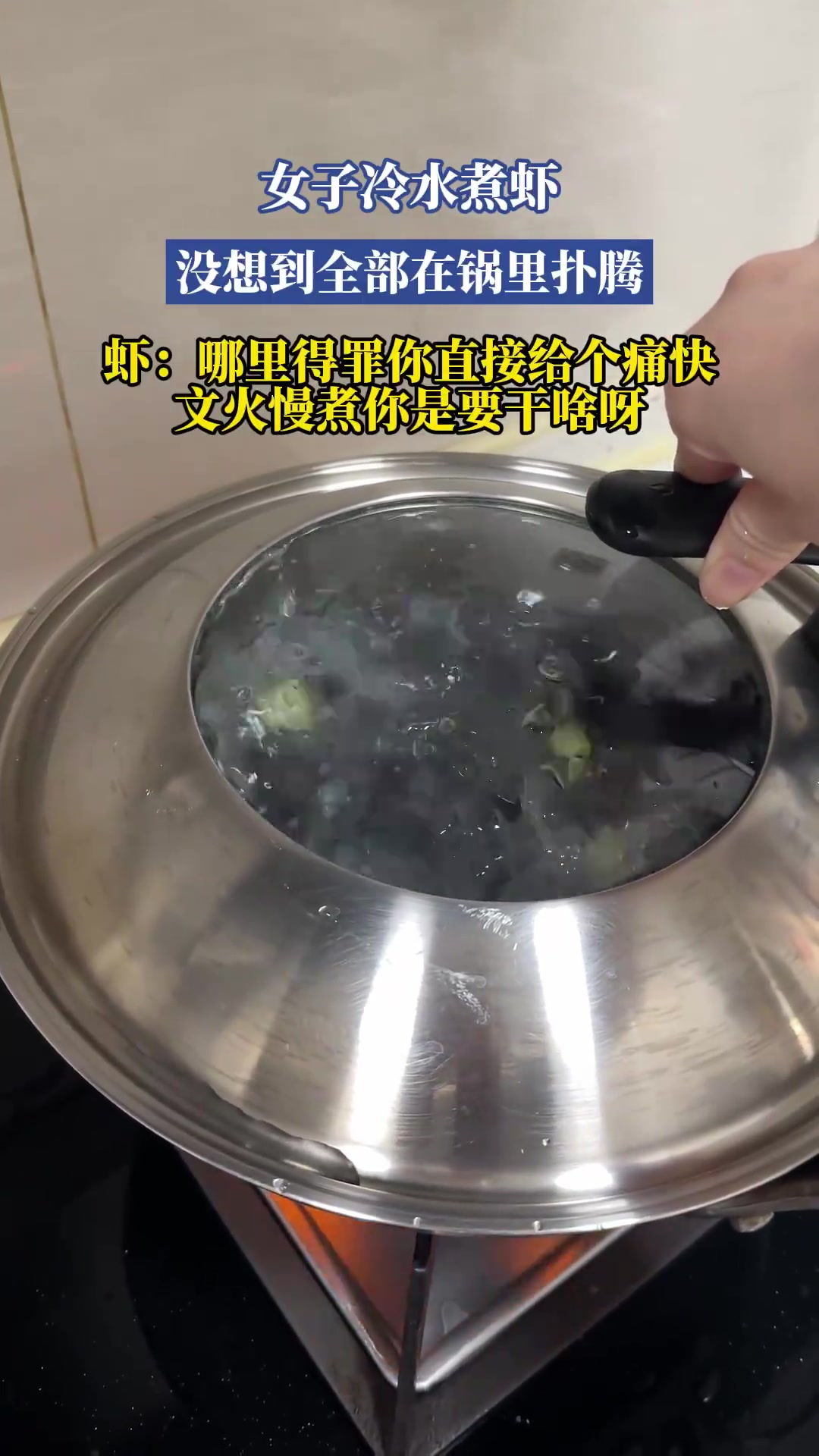 女子冷水煮虾，没想到全部在锅里扑腾！