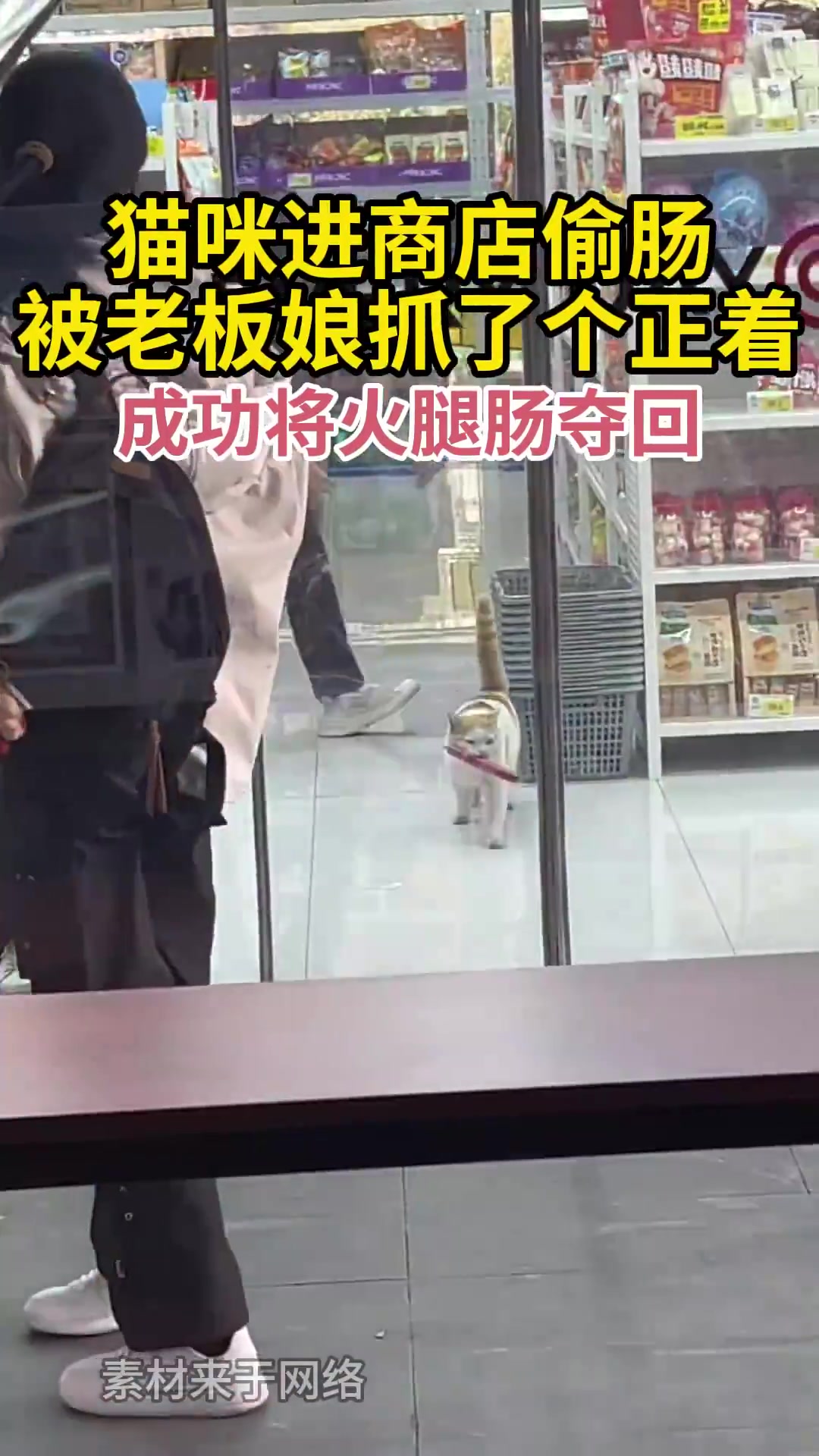 猫咪进商店偷肠被老板娘抓了个正着成功将火腿肠夺回