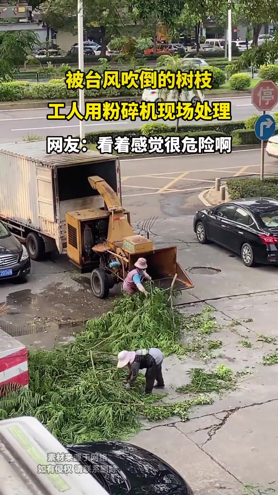 被台风吹倒的树枝，工人用粉碎机现场处理！