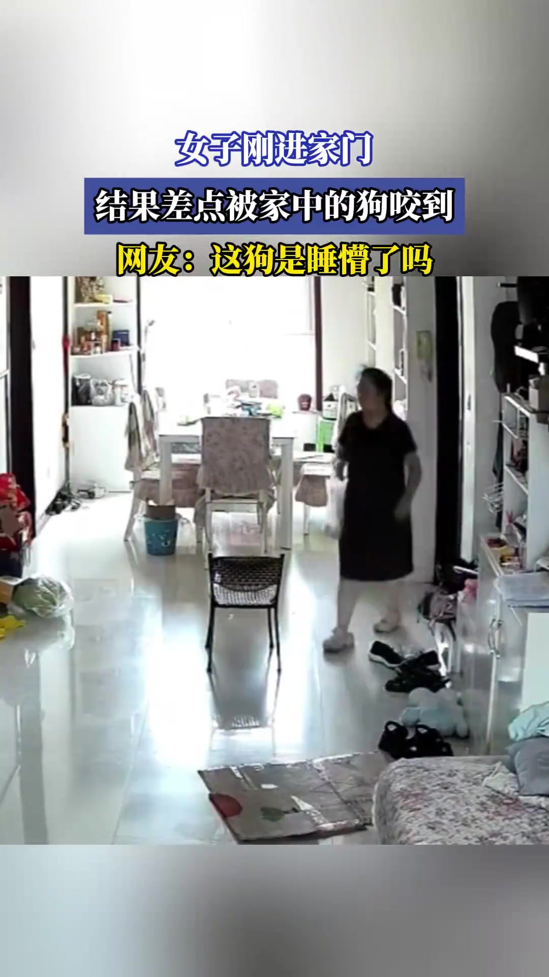 女子刚进家门，结果差点被家中的狗咬到，网友：这狗是睡懵了吗！