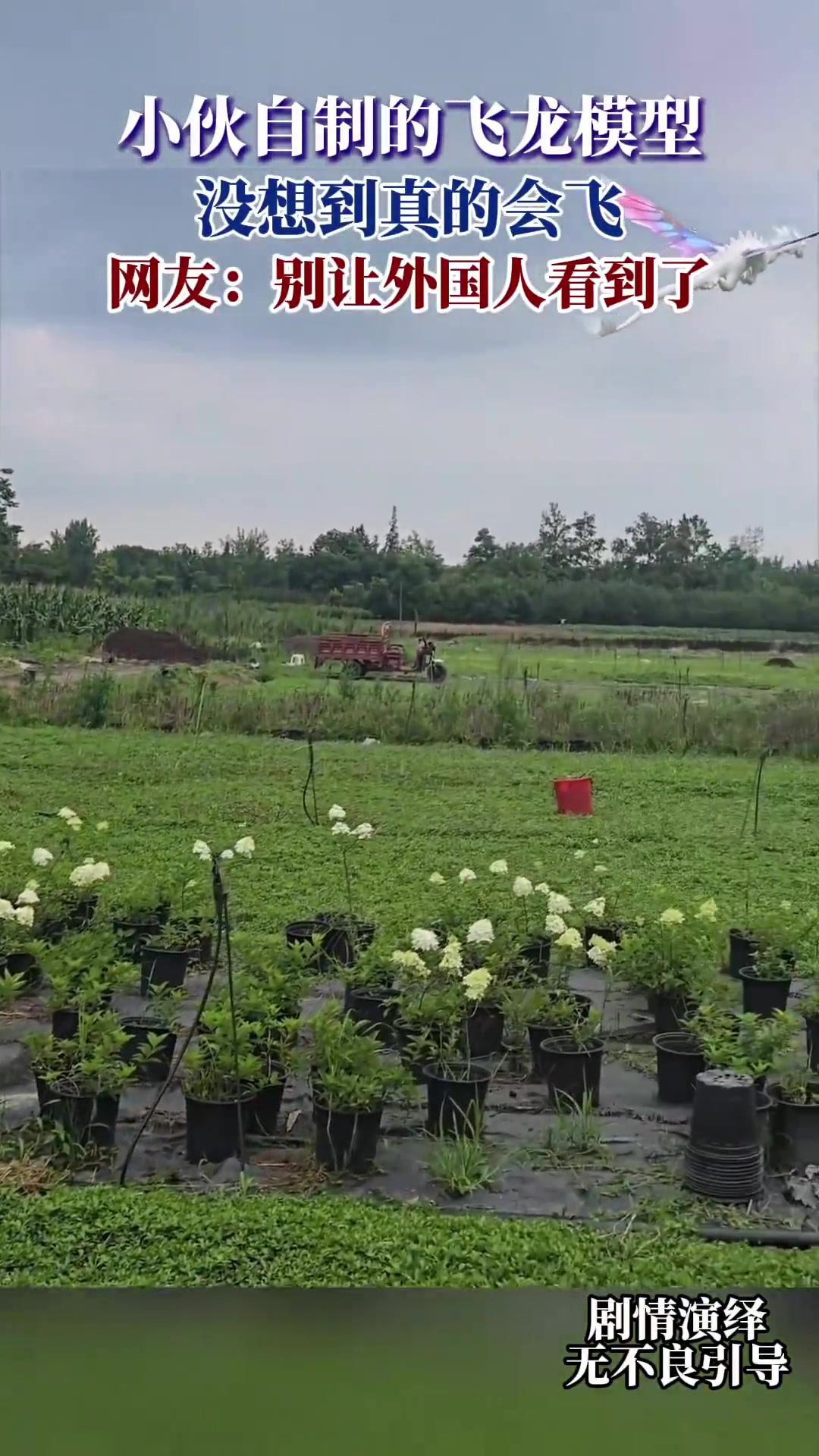 小伙自制的飞龙模型，没想到真的会飞