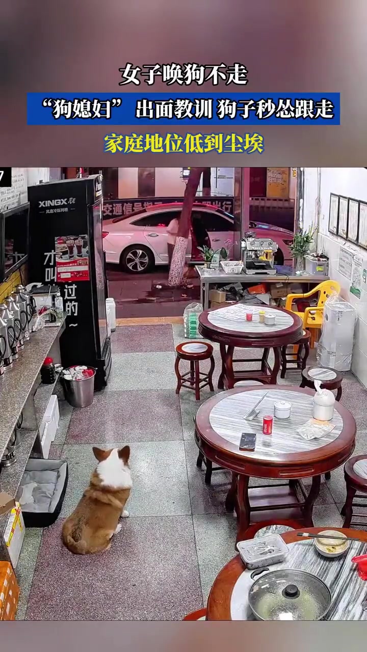女子唤狗不走，“狗媳妇”出面教训