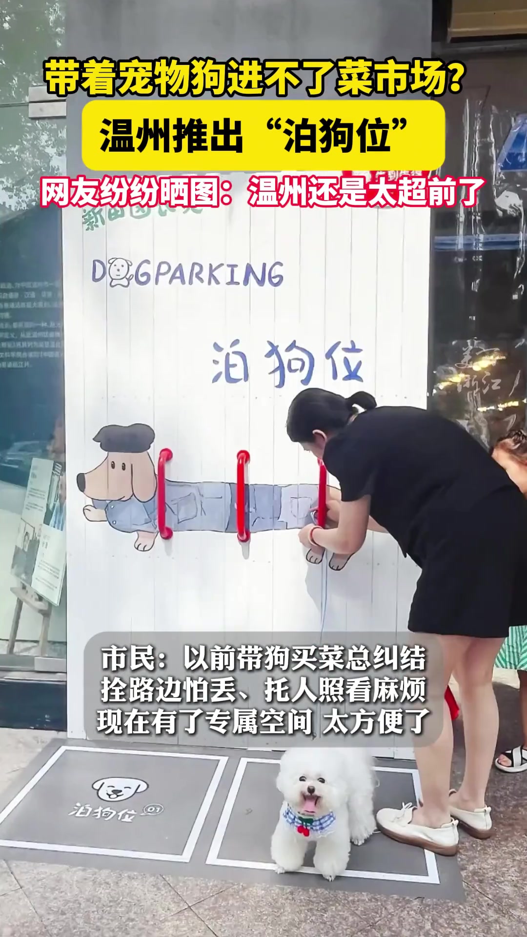 浙江温州菜市场推出“泊狗位”，网友纷纷晒图：还是太超前了！
