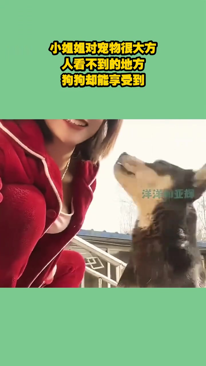 小姐姐对宠物很大方，人看不到的地方，狗狗却能享受到！