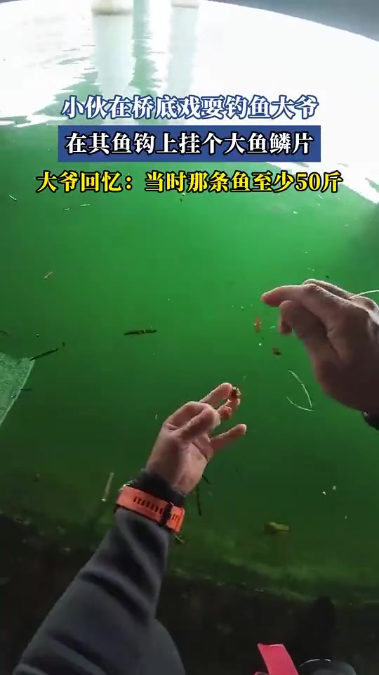 小伙在桥底戏耍钓鱼大爷，在其鱼钩上挂个大鱼鳞片