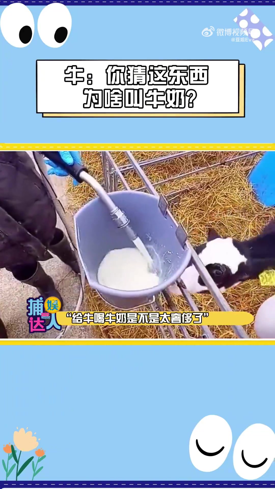 我都忘记牛奶原本是给牛喝的了！