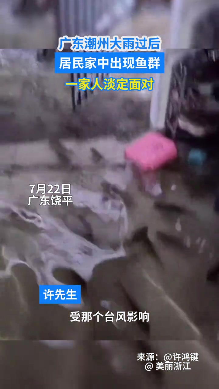 广东潮州大雨过后，居民家中出现鱼群，一家人淡定面对