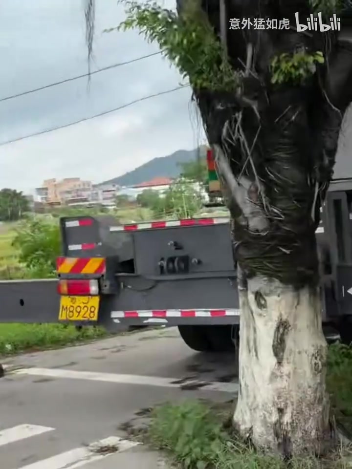 树顶停车位教练我想学这个