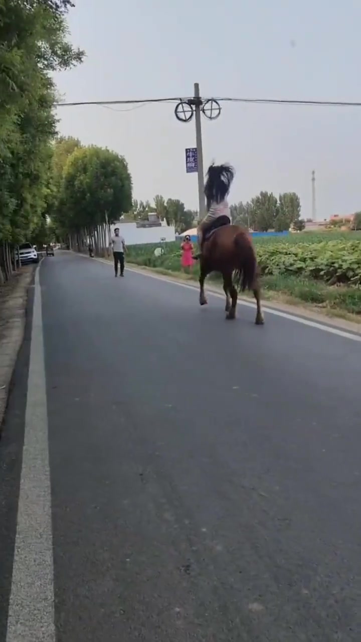 有预感，她的结局肯定是摔马