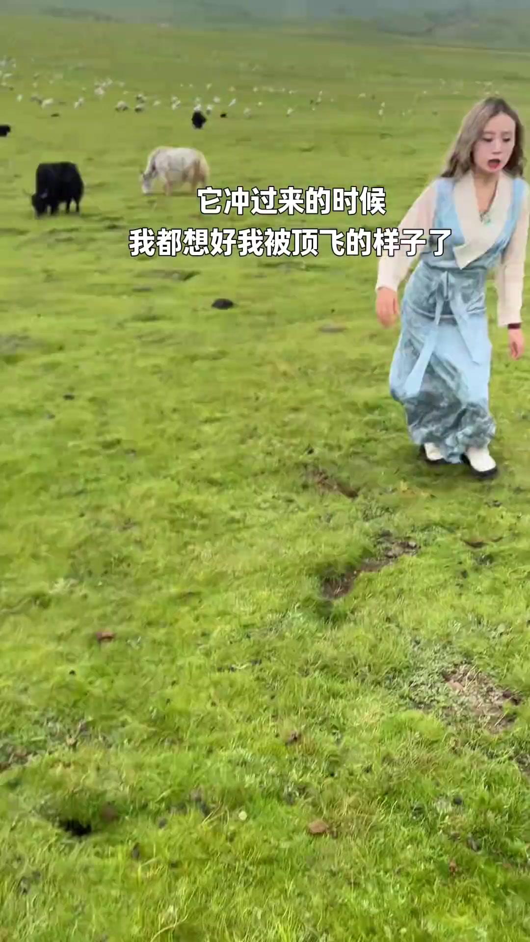 不会女生真被牛撞了吧