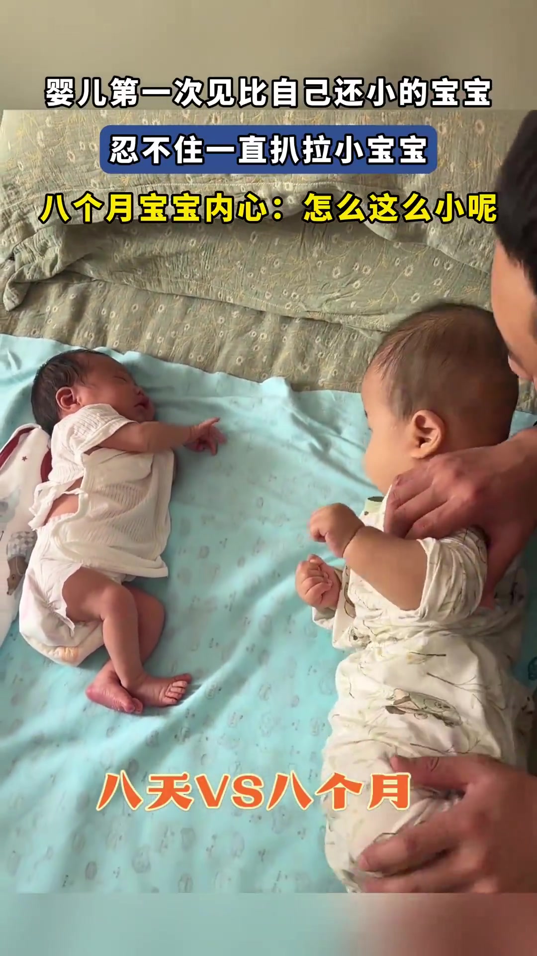 婴儿见更小宝宝！忍不住一直扒拉