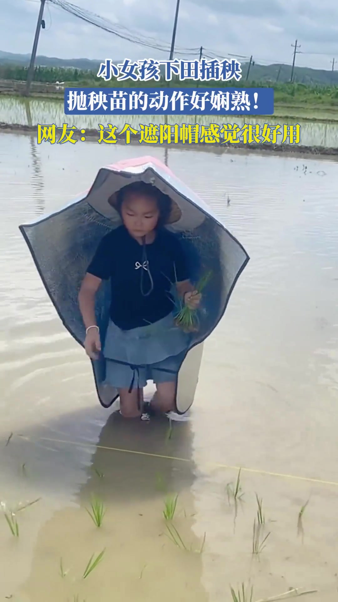 小女孩下田插秧，抛秧苗的动作好娴熟