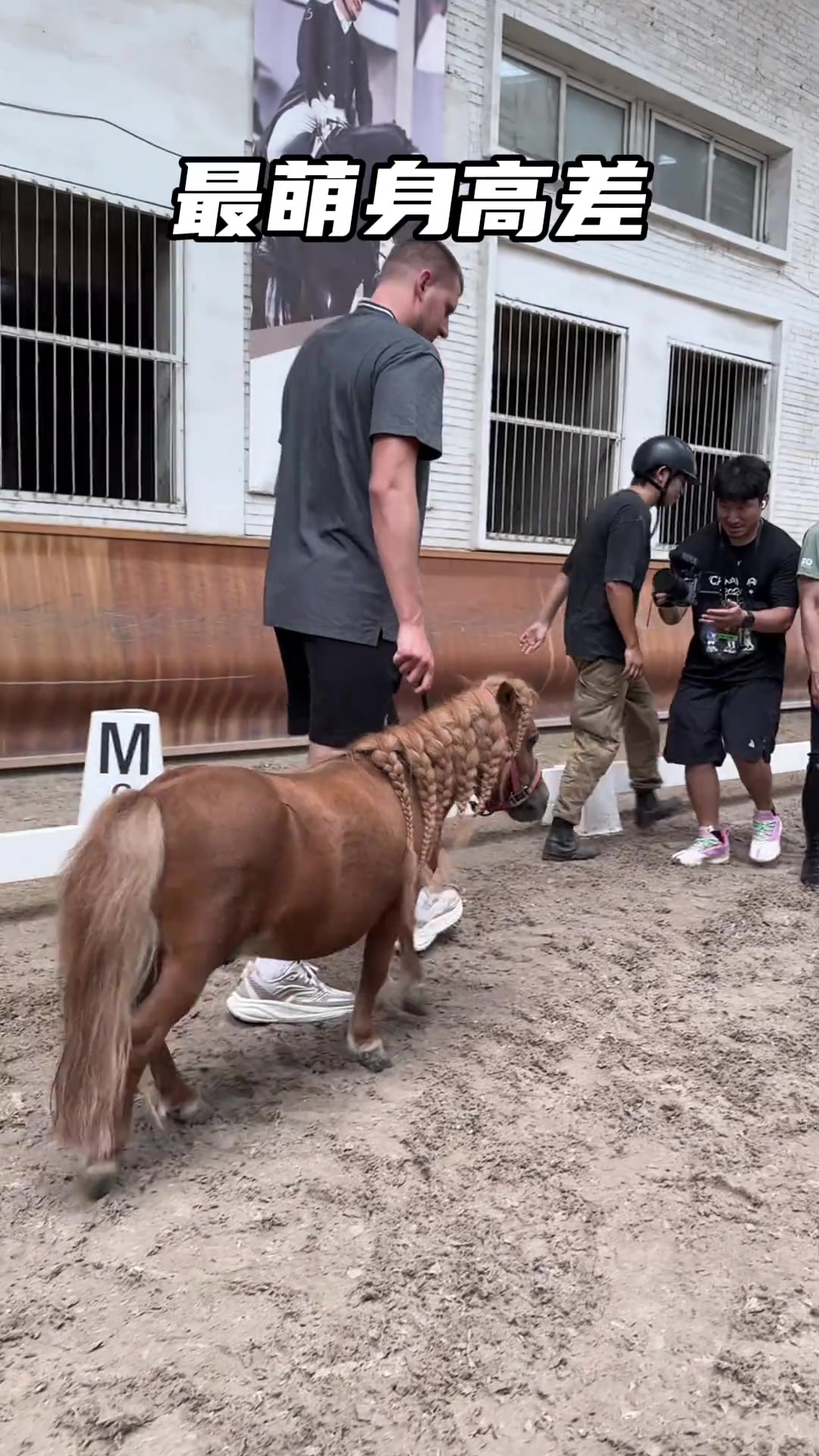 这里对于约基奇来说简直就是天堂