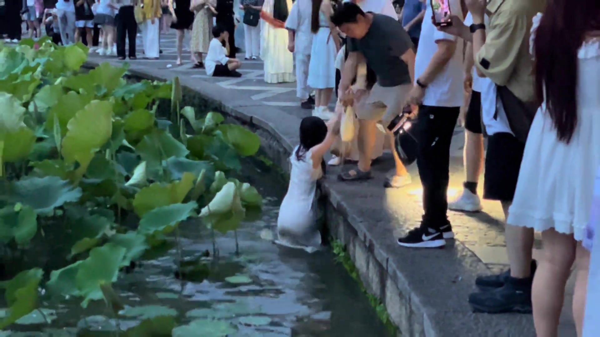 没人告诉这个旗袍小姐姐西湖这里不能洗澡么！